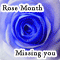 Missing You... This Rose Month.
