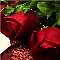 Roses Depict Your Pure Love!