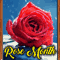 A Blessed Rose Month Card For You.
