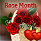 Beautiful Rose Speaks Of Love!