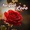 Rose Month