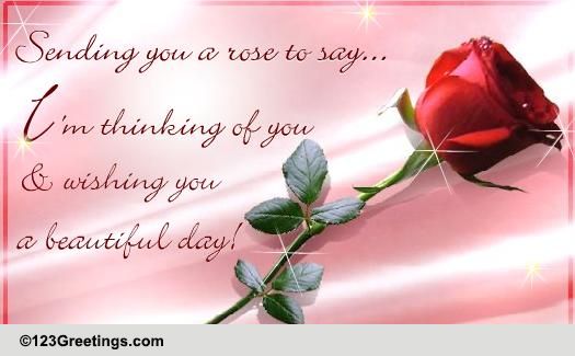 thinking of you rose