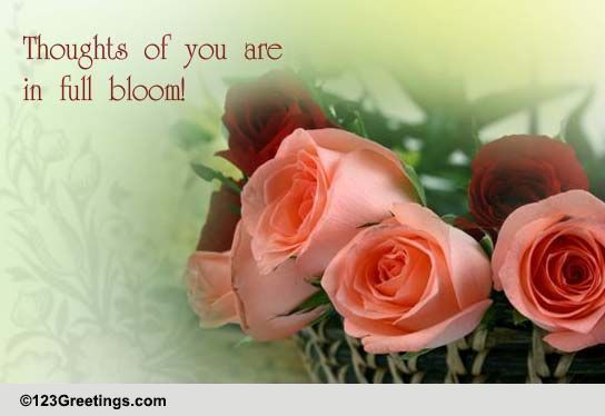 Beautiful Rose Month Wishes!