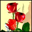 My Love For You...