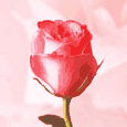Loving And Caring...