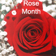 For Your Sweetheart On Rose Month.