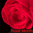 Romantic Wishes On Rose Month.