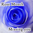 Missing You... This Rose Month.