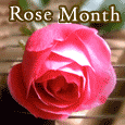 For Someone Wonderful...