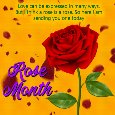 A Beautiful Rose Month Ecard For You.