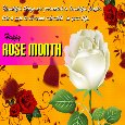 A Nice Rose Month Card For You...