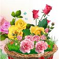 A Basket Of Roses!