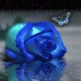 Sending You This Rose.