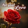 Rose Month Wishes For...