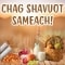 Wishing You A Blessed Shavuot.