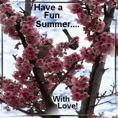 Send Summer Ecard!