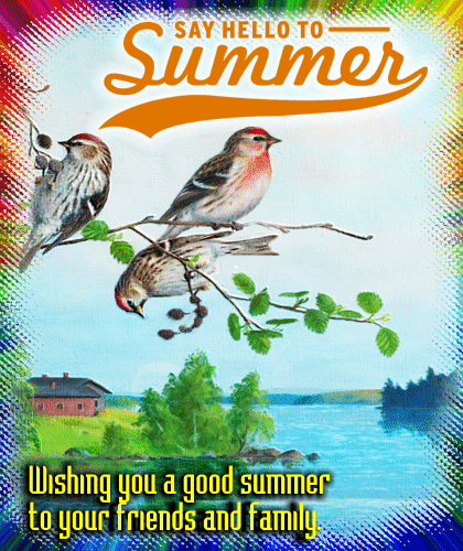 A Summer Ecard For Your Friends.