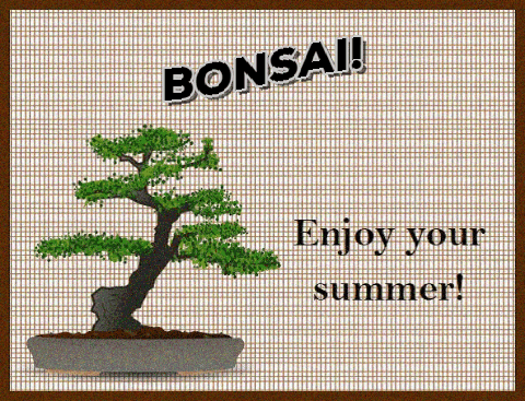 Enjoy Summer With This Bonsai Tree.