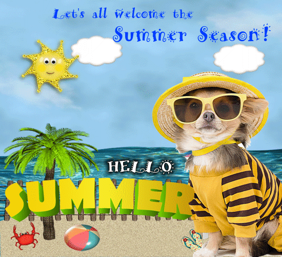 Let’s All Welcome The Summer Season.