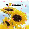 Sunny Summer!
