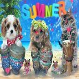Hello To Summer!