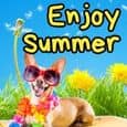 Enjoy Summer!