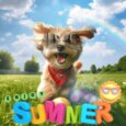 Woohoo It’s Summer Time!