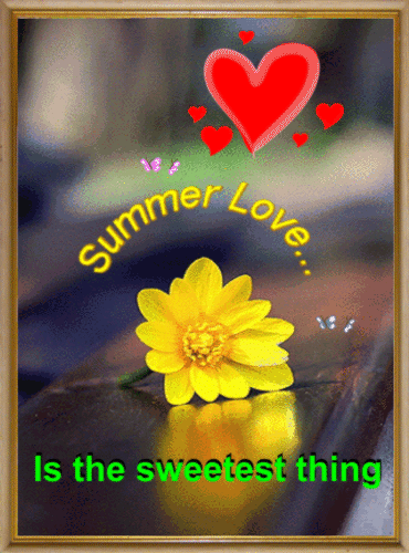 Summer Love Card For You.