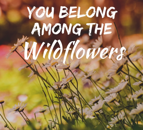 You Belong Among The Wildflowers.