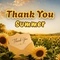 Thankyou For Summer Wishes