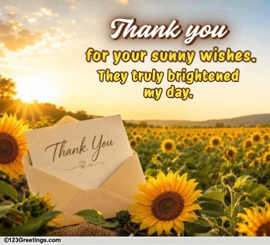 Thankyou For Summer Wishes