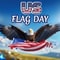 Special Wish On Flag Day.