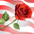 The Spirit Of Our Great Nation...