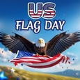 Special Wish On Flag Day.