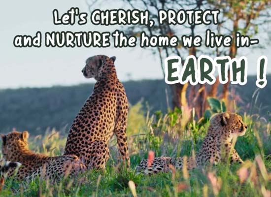 Happy World Environment Day.