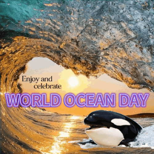 World Ocean Day Celebration.