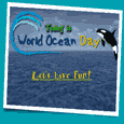 Let’s Have Fun On World Ocean Day!!
