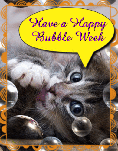 Kitty On Bubble Week.