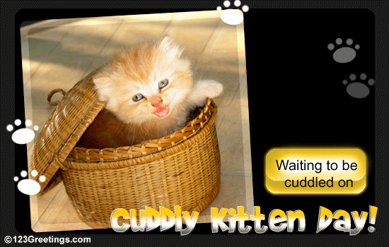 Get Cuddled!