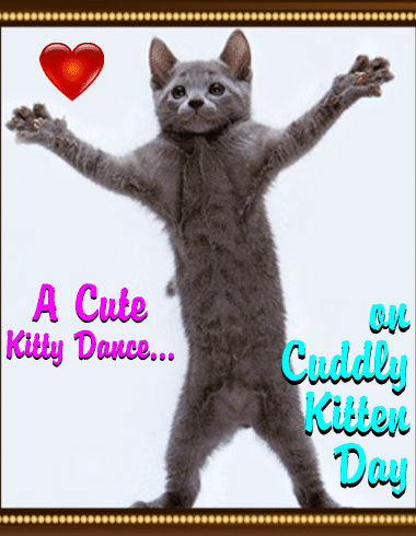 A Cuddly Kitten Dancing!