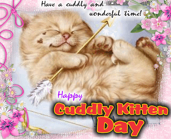 Have A Cuddly And Wonderful Time!