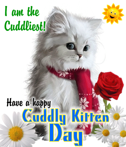 A Cuddly Kitten Day Ecard For You.