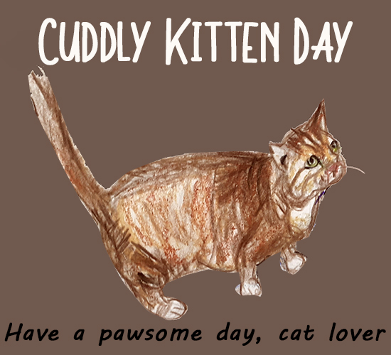 Cuddly Kitten Day, Art. Free Cuddly Kitten Day eCards, Greeting Cards