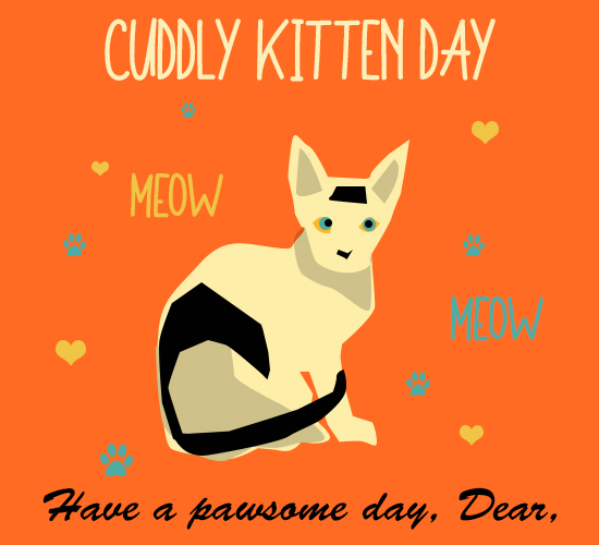 Cuddly Kitten Day, Cute Kitten.