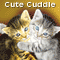 Cute Cuddle For You...