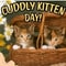 Cute Kitten Ecard On Cuddly Kitten Day.