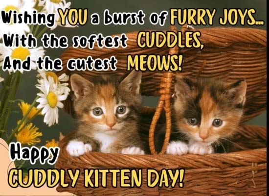Cute Kitten Ecard On Cuddly Kitten Day.