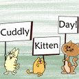 A Cuddly Kitten Day Fun Wish!