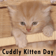 If You Like Someone&apos;s Kitten...
