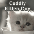 Send Cuddly Kitten Day Ecards